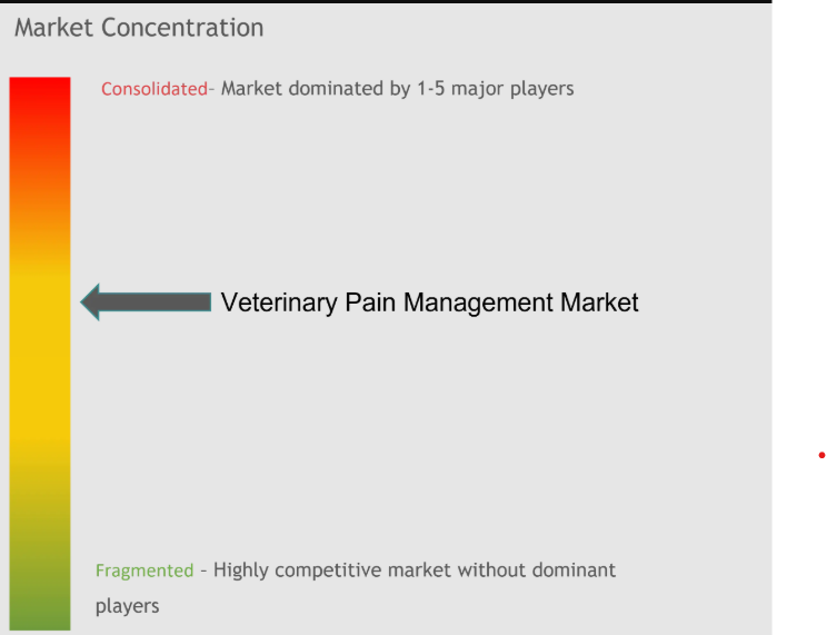 Veterinary Pain Management Market _ CL_New.png